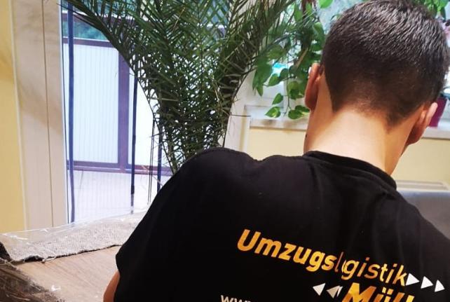 Laborumzug Belgern stressfrei umziehen 