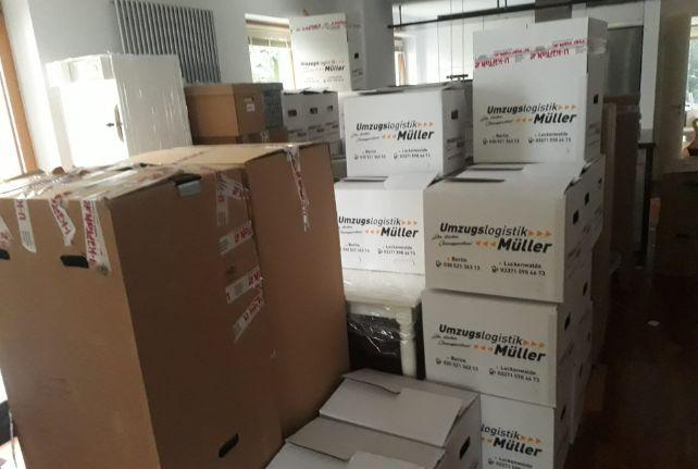 Labor Umzug preise erfahren in Belgern